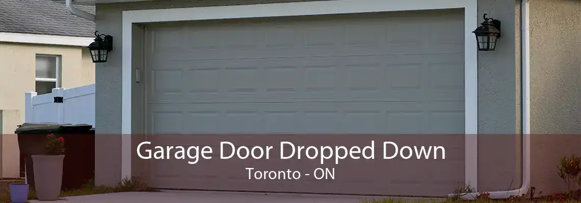 Garage Door Dropped Down Toronto - ON