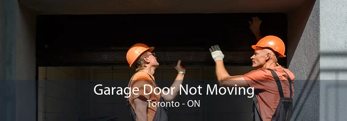 Garage Door Not Moving Toronto - ON