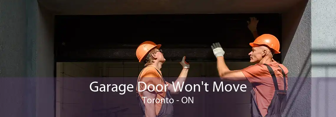 Garage Door Won't Move Toronto - ON