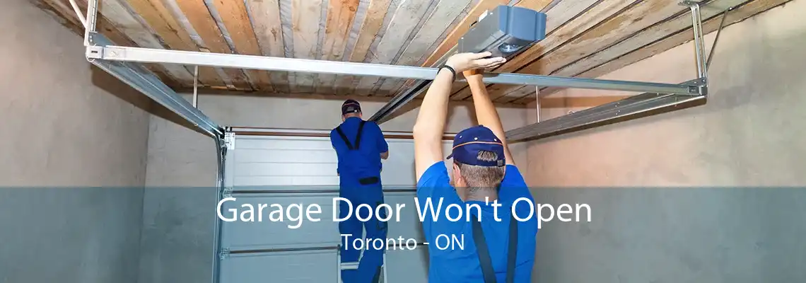 Garage Door Won't Open Toronto - ON